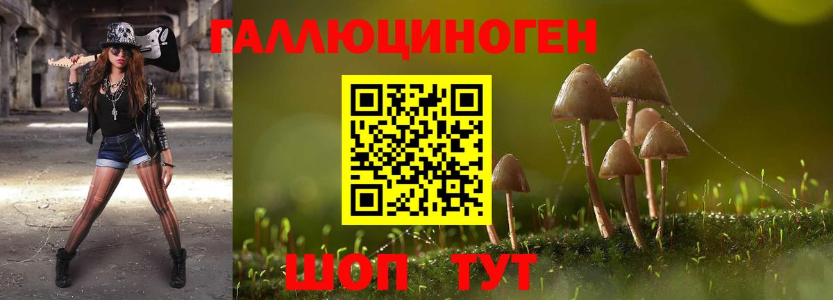 Галлюциногенные грибы ЛСД Курчатов